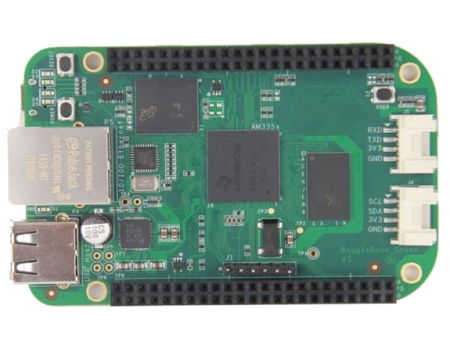 beaglebonegreen